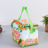 OEM Customized Fashion Style Polyester Cooler Bag