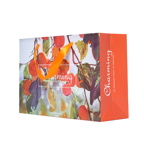 Art paper bag (129).jpg