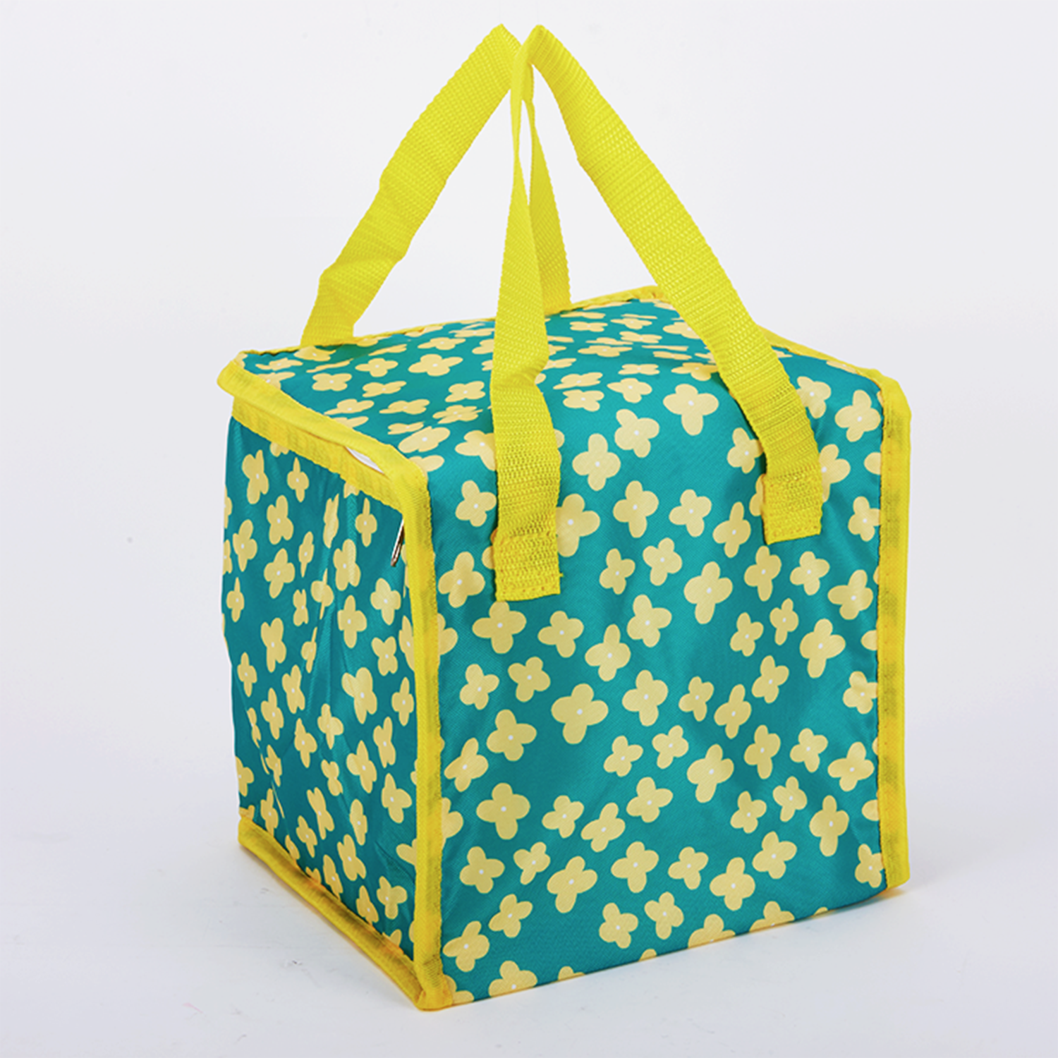 Revolutionizing Sustainability with Biodegradable Insulated Picnic Bags