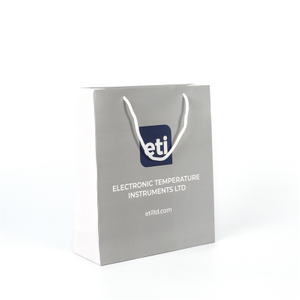 Fashion Paper Shopping Gift Bag with LOGO Printed