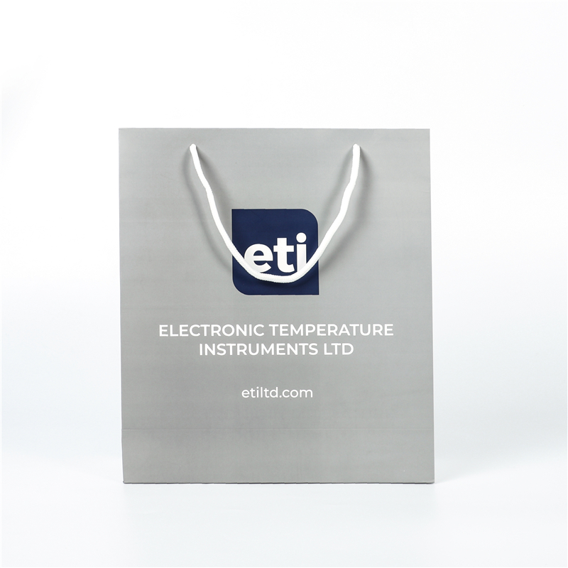 Fashion Paper Shopping Gift Bag with LOGO Printed