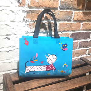 Reusable Non Woven Shopping Bag 