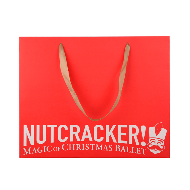 Luxury Shopping Paper Bags Boutique Recyclable Gift Bag with Customzied Logo Printed