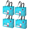 Reusable Non Woven Shopping Bag 