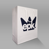 Custom Premium Shopping Paper Bag with LOGO printed