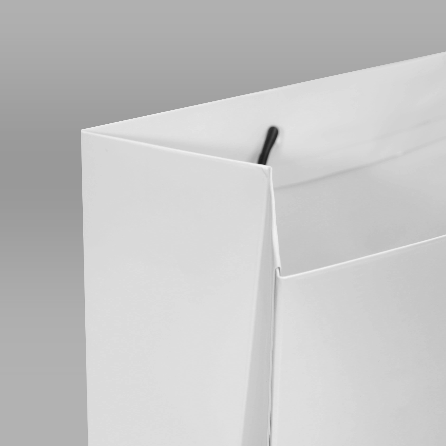 Custom Premium Shopping Paper Bag with LOGO printed